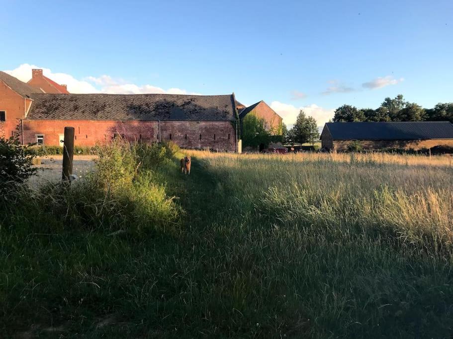 Le Cottage - Maison De 6 A 8 Personnes - La Ferme Du Try Frasnes-lez-Gosselies 외부 사진
